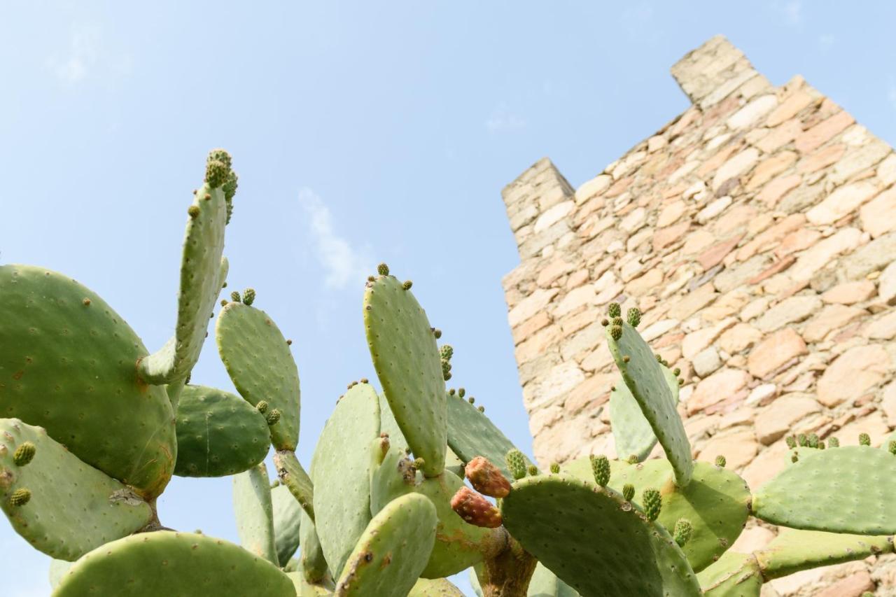 Villa Notos Adamantas  Exteriér fotografie